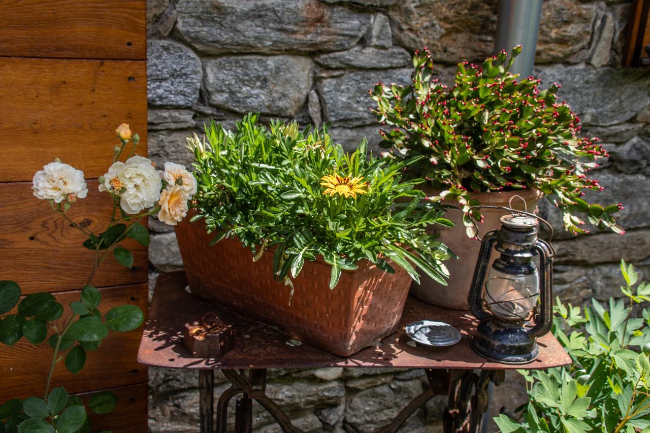 Agriturismo Treterre Pianello Del Lario Exterior photo